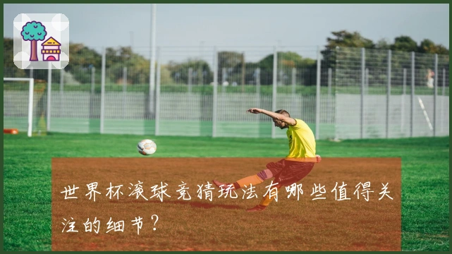 世界杯滚球竞猜玩法有哪些值得关注的细节？