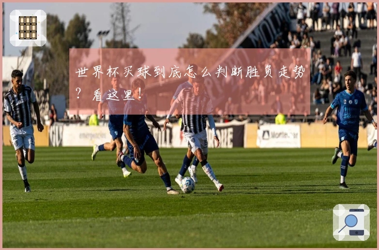 世界杯买球到底怎么判断胜负走势？看这里！