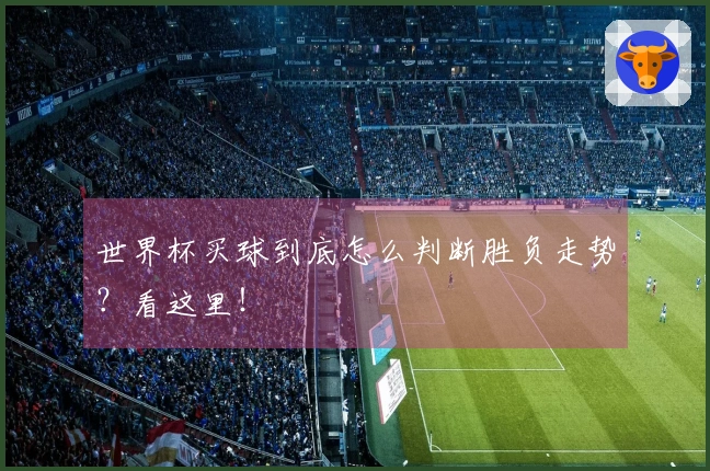 世界杯买球到底怎么判断胜负走势？看这里！